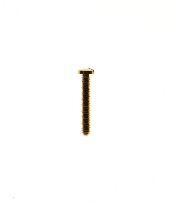 Viti 2.5x1.6x10mm tutto filetto